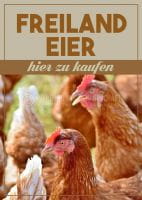 Freiland Eier Plakat | Werbeposter