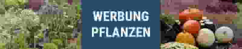 Banner Pflanzenwerbung