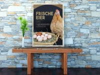 Frische Eier Werbeschild | Poster