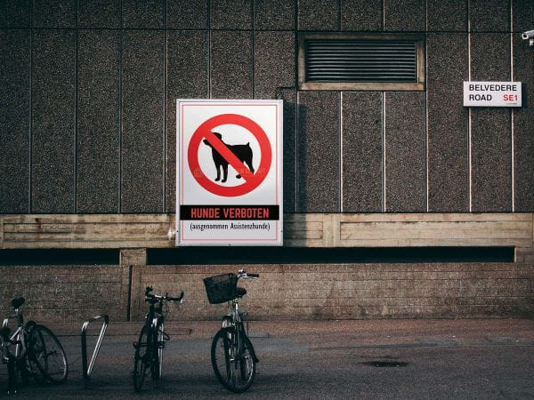 Hunde verboten Hinweisposter | Plakat für Werbeaufsteller